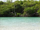 Punta Ballena - GUÁNICA